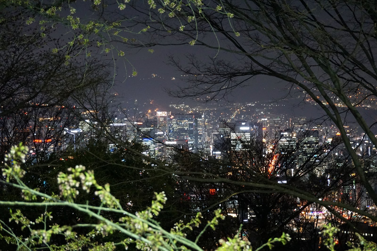Seoul's illuminated skyline seen from Namsan at night